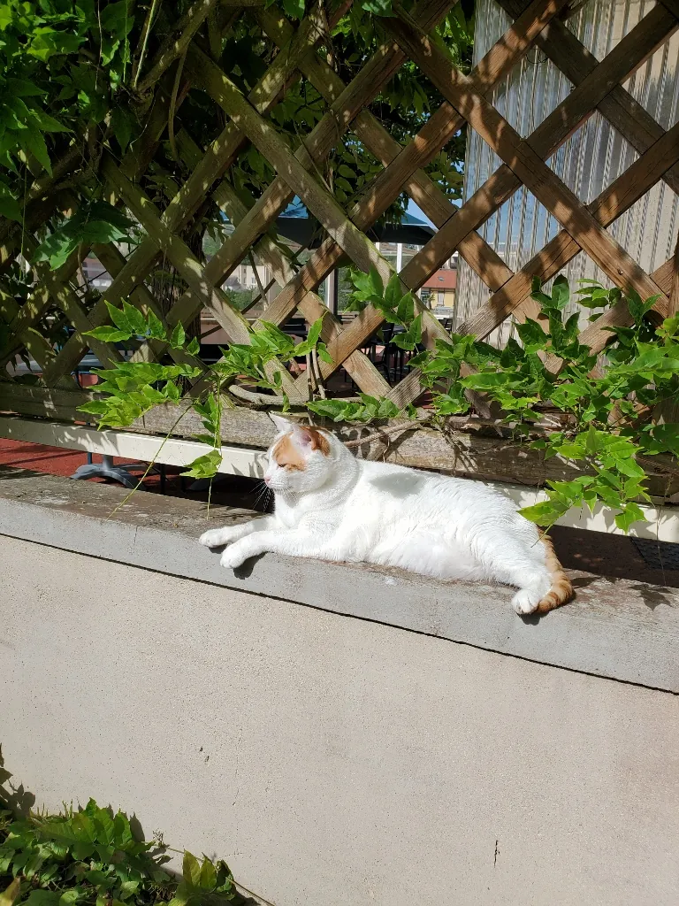 Notre belle terrasse et son soleil ardent !