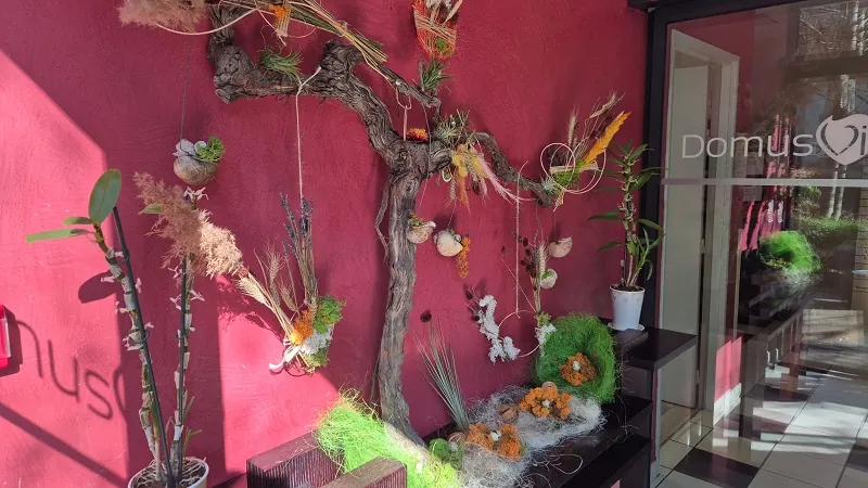 L'arbre de Pâques, vous connaissez ?