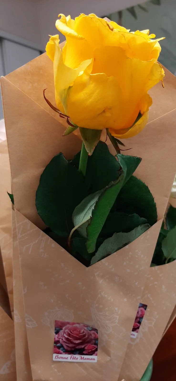 Bonne fêtes des mères !