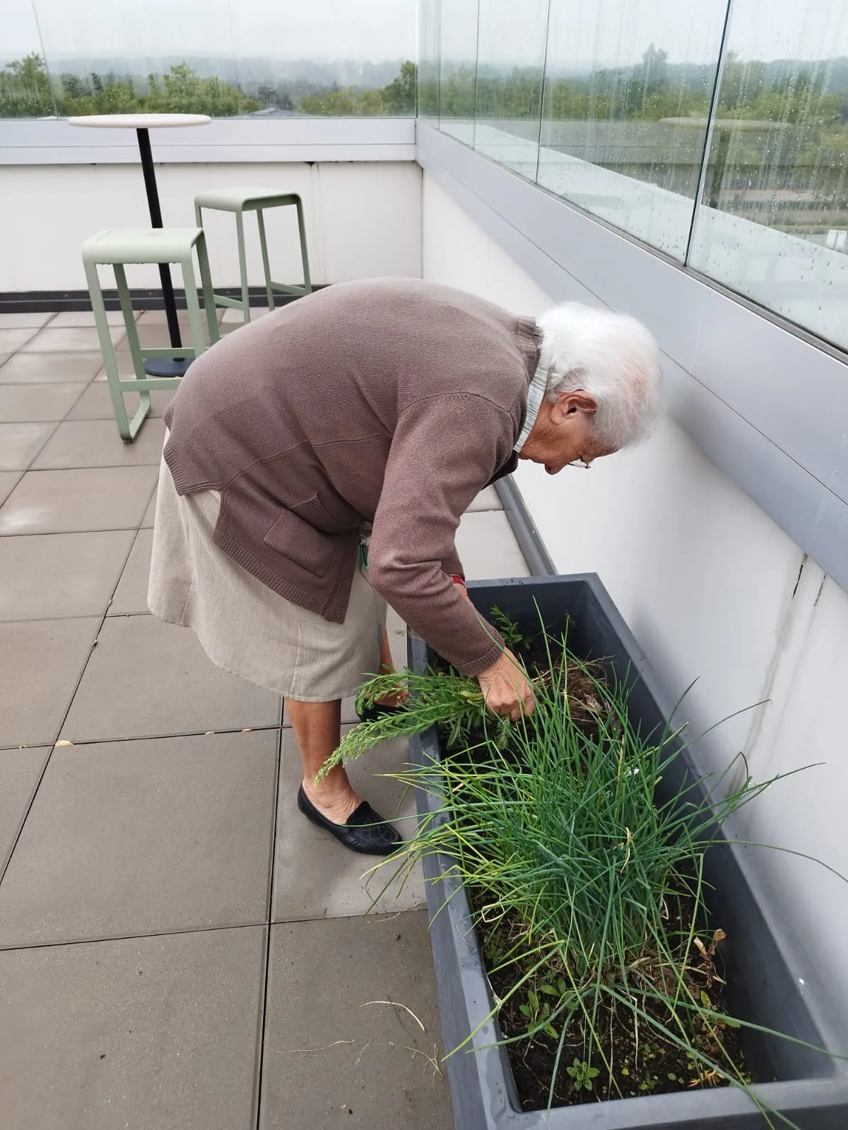 La petite vie aux Terrasses de l'étoile