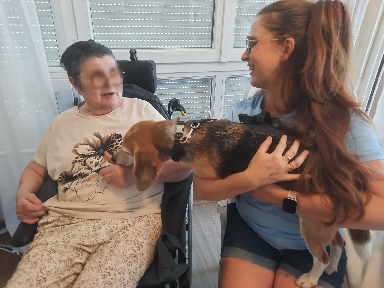 Visite de l'association des chiens d'utilité