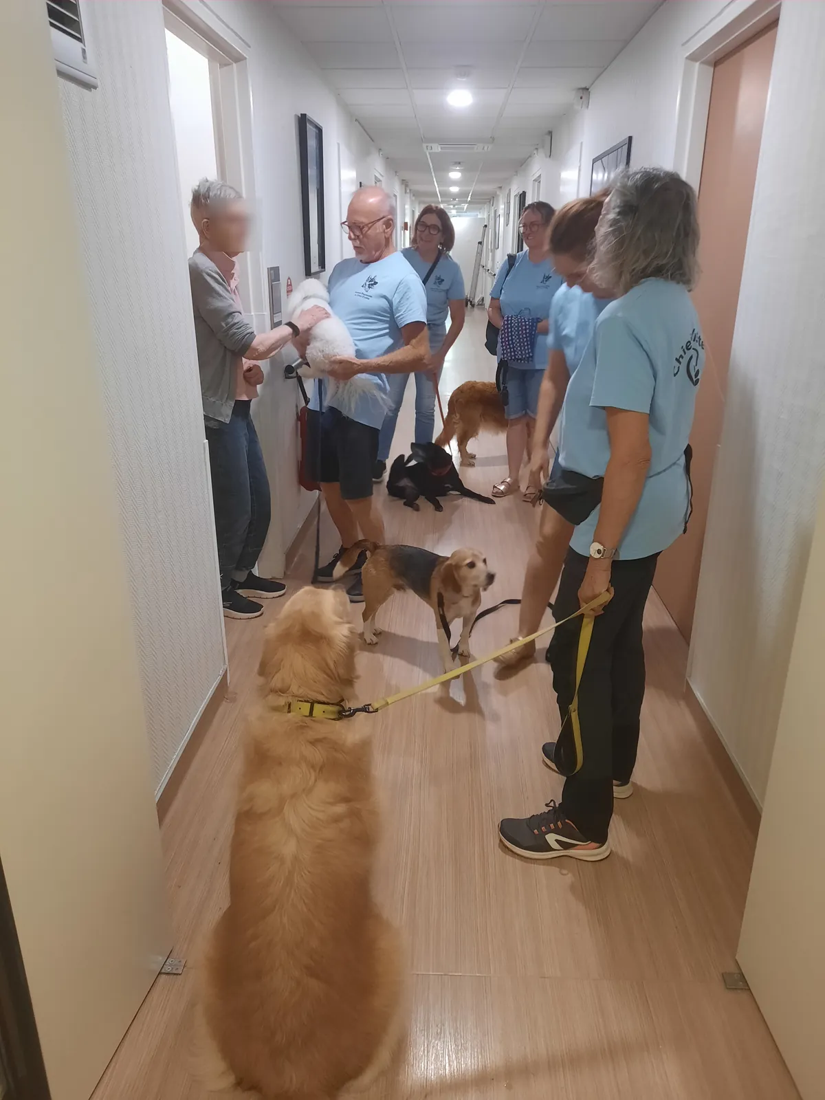 Visite de l'association des chiens d'utilité