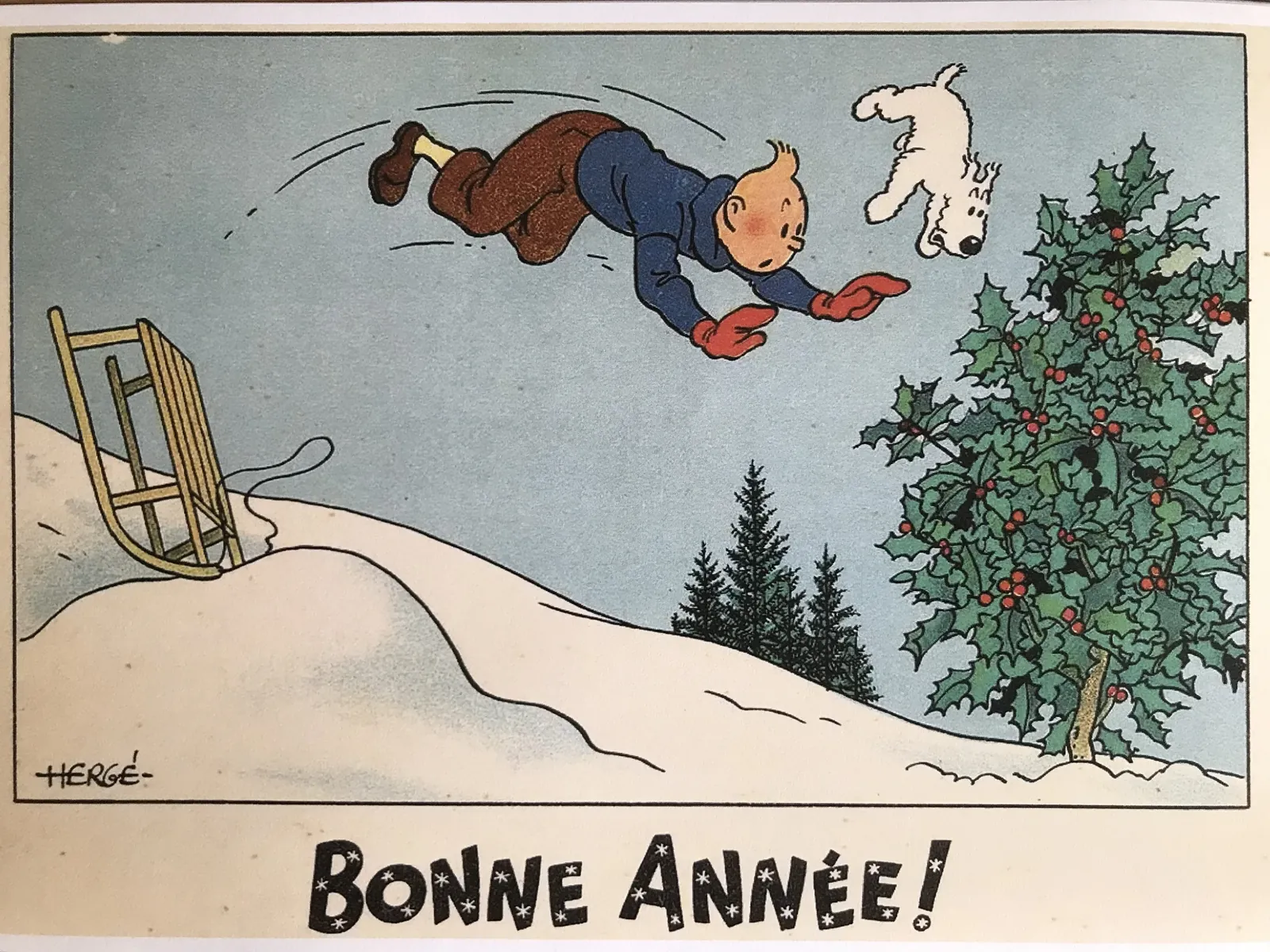 Vœux 2024