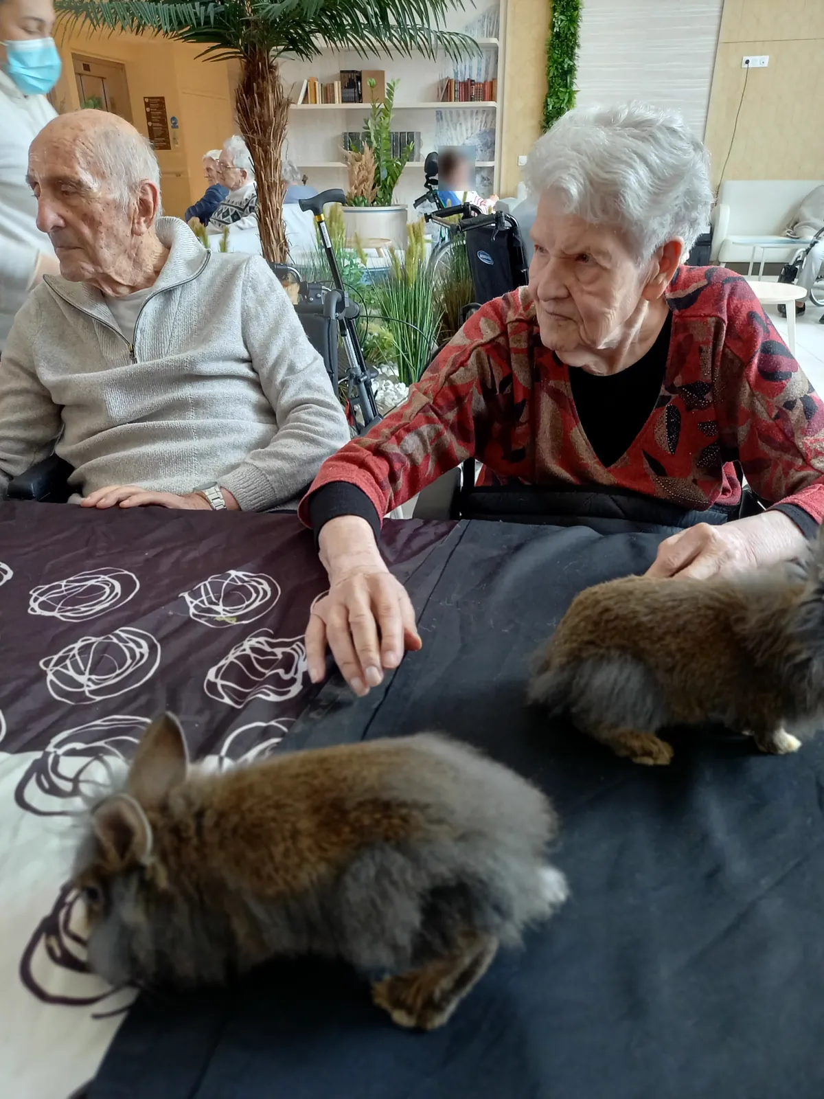 Médiation animale !