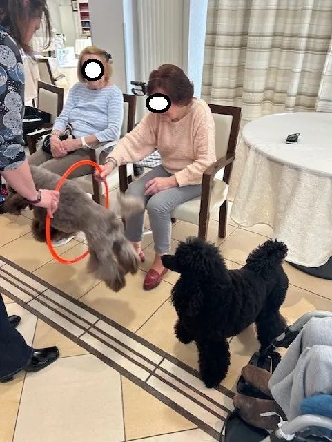 Mediation animale 