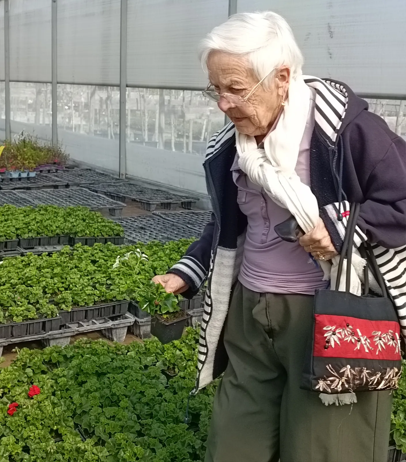 Sortie au lycée horticole d'Evreux