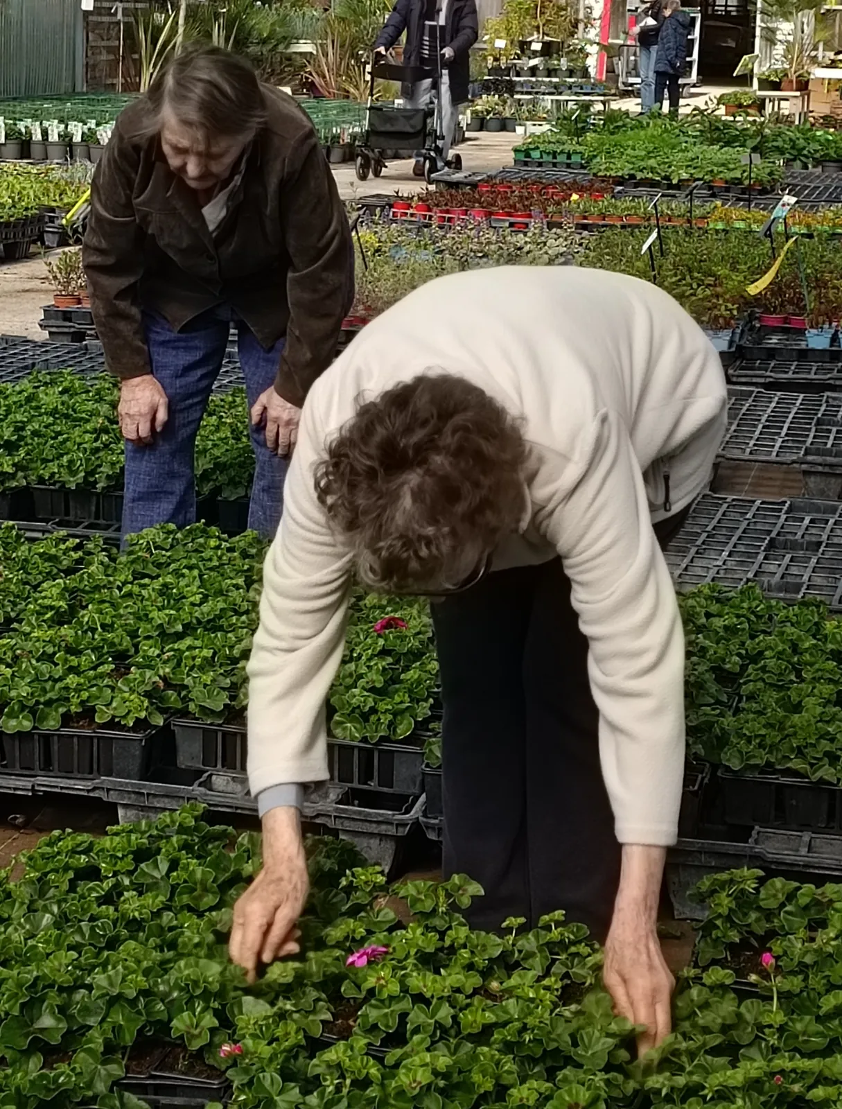 Sortie au lycée horticole d'Evreux