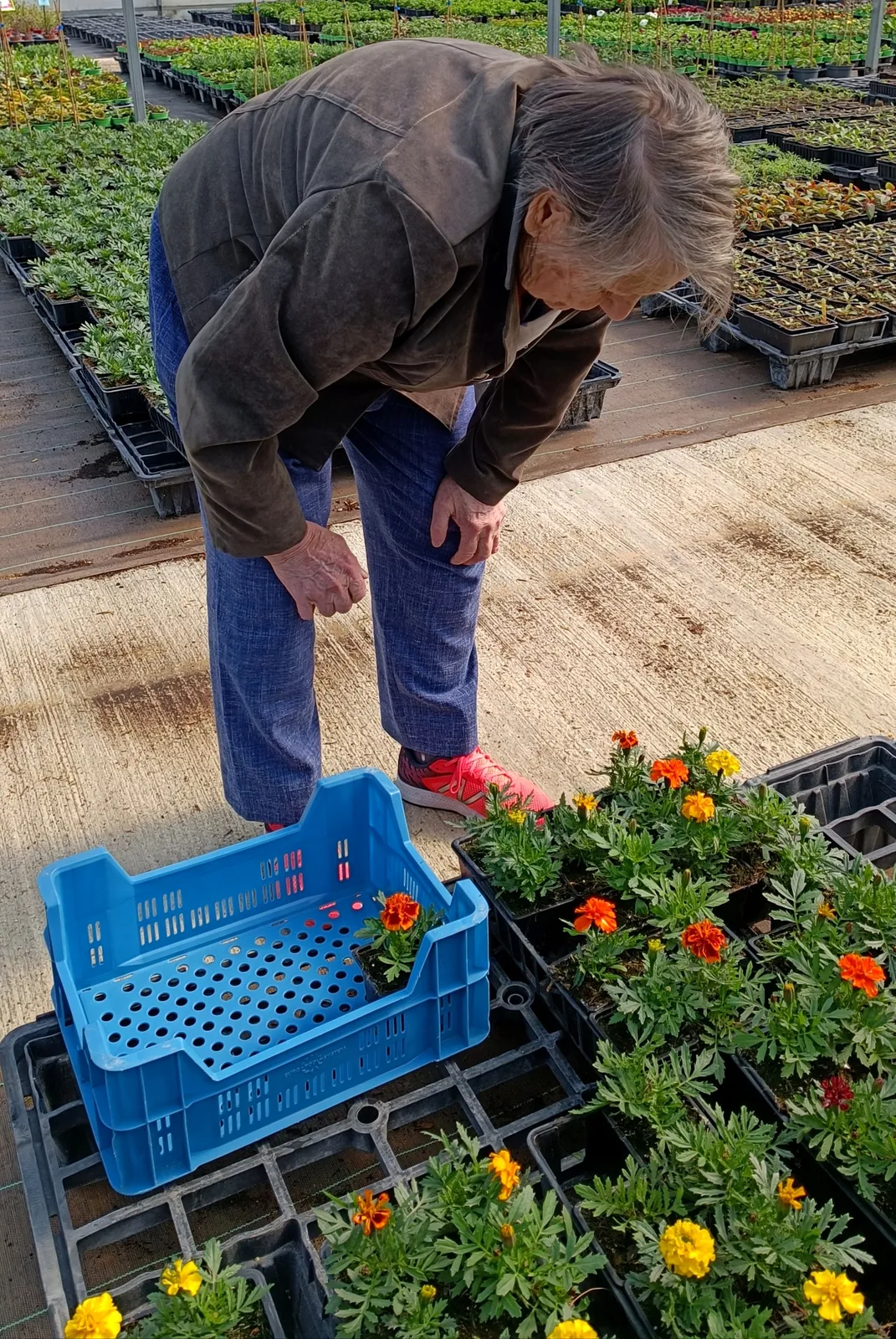 Sortie au lycée horticole d'Evreux