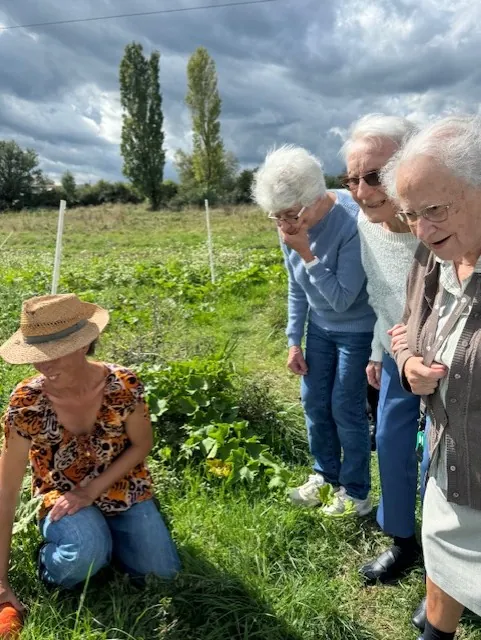 Les sorties extérieures des terrasses de l'étoile.