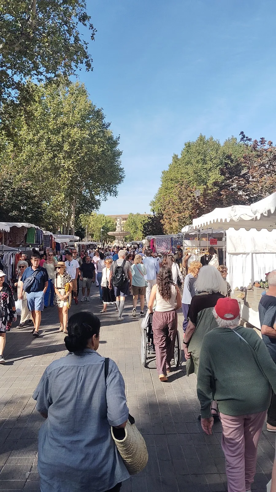 Une matinée au cœur du marché provençal
