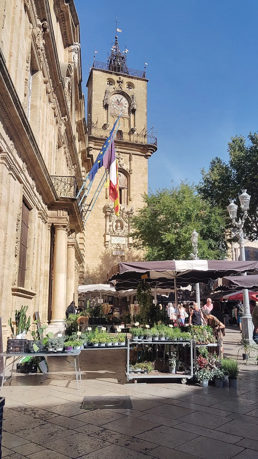Une matinée au cœur du marché provençal