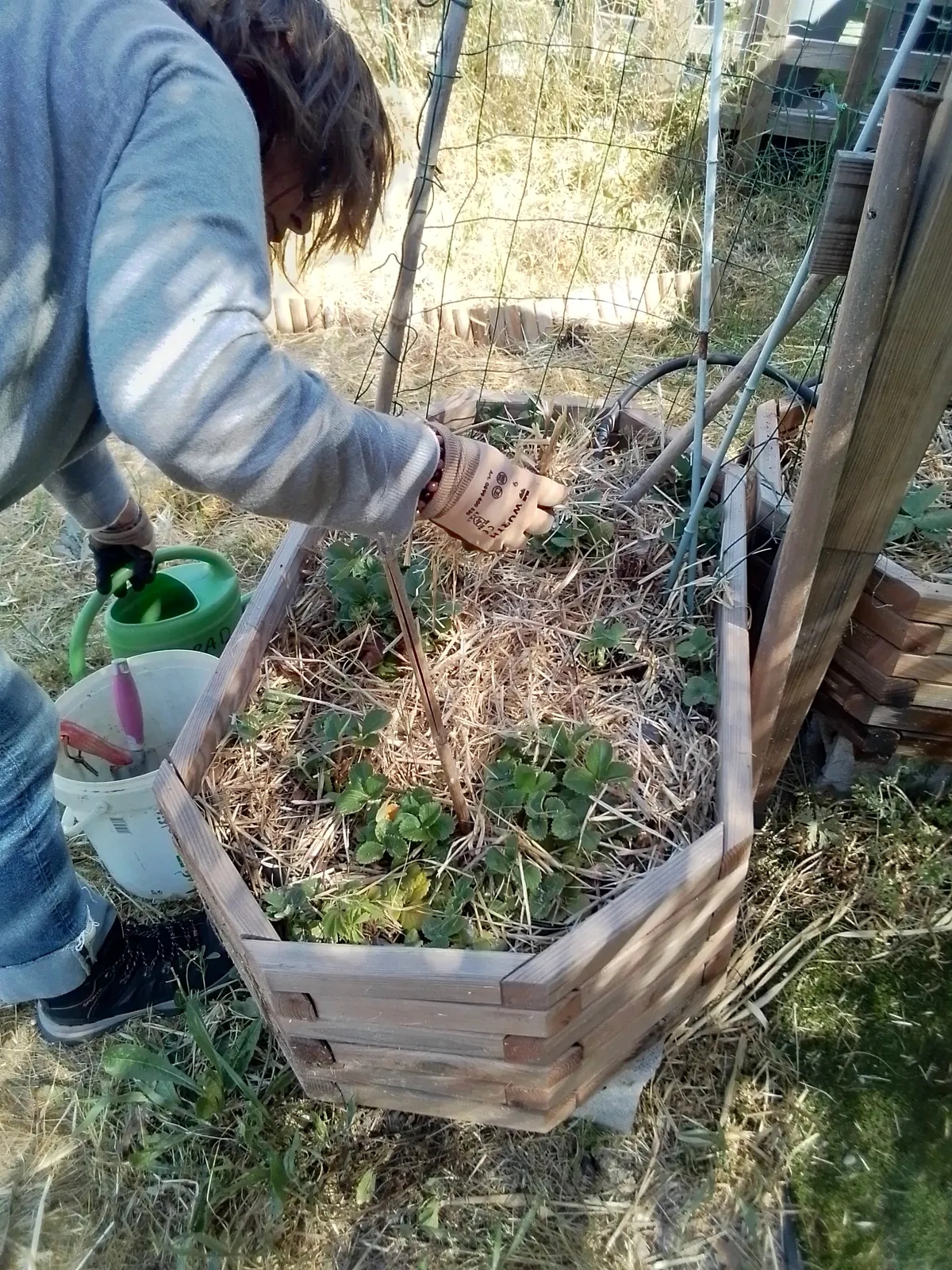 Au jardin ...