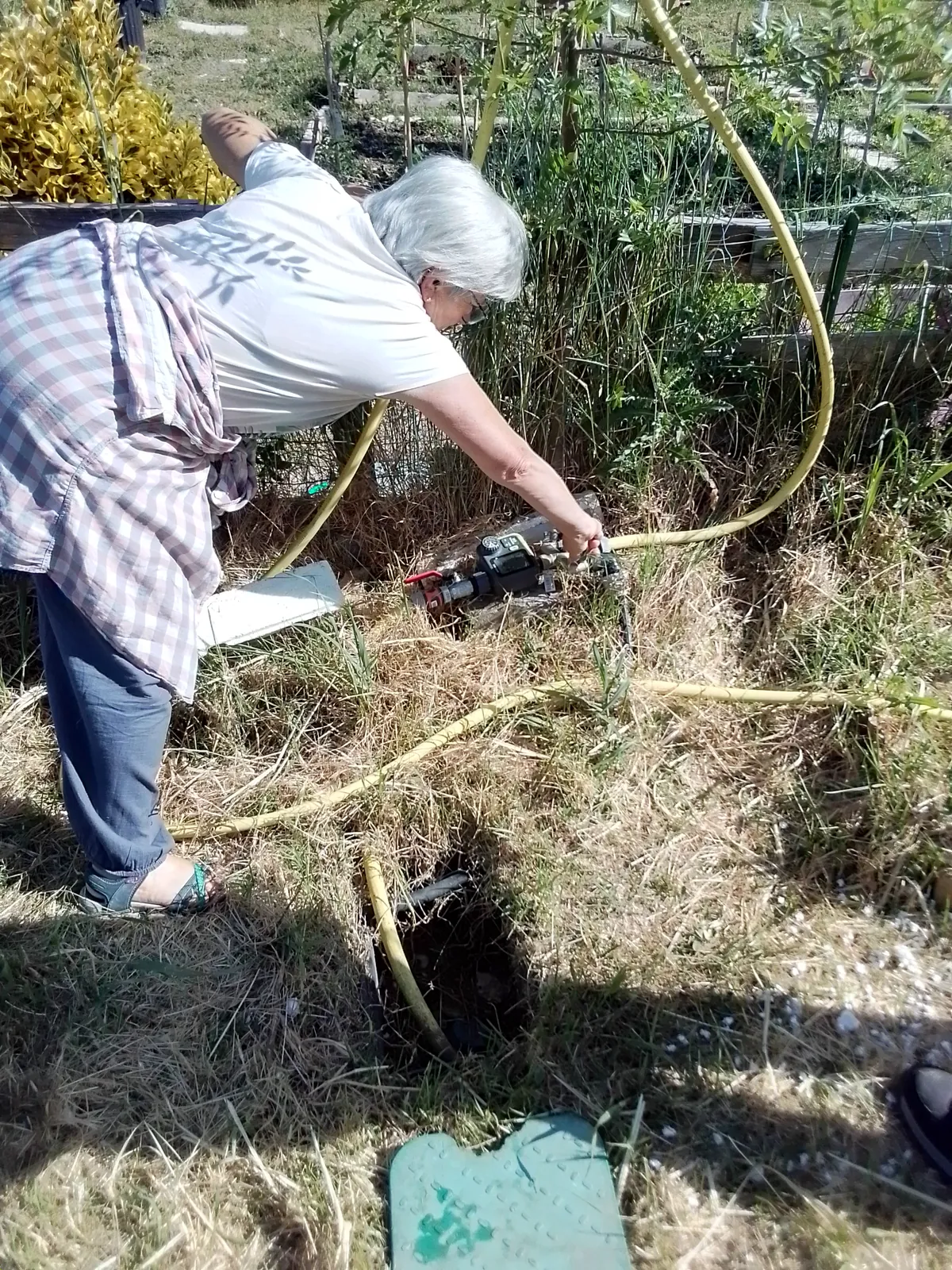 Au jardin ...