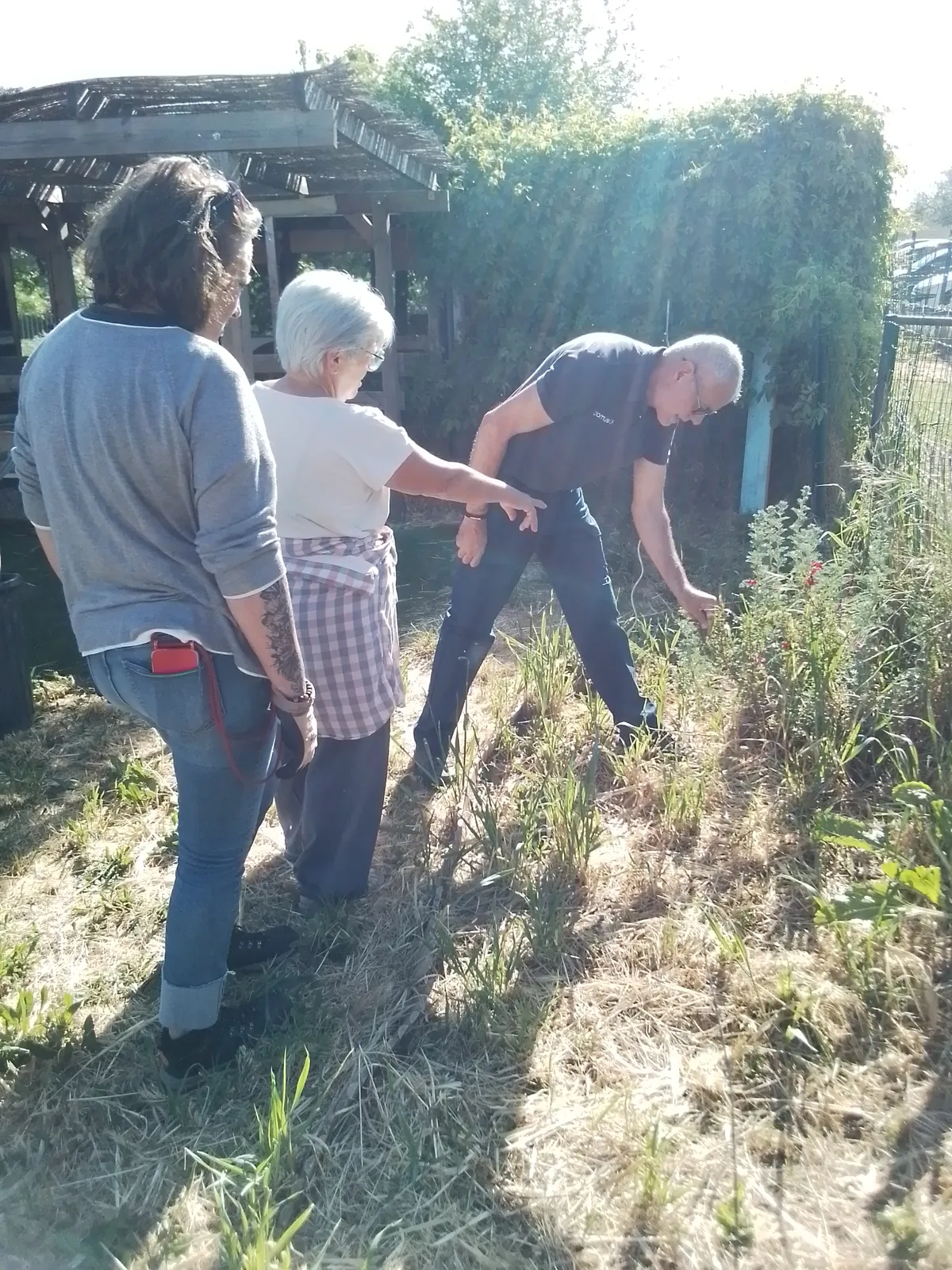 Au jardin ...