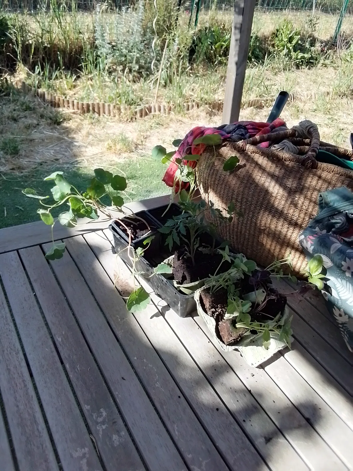 Au jardin ...