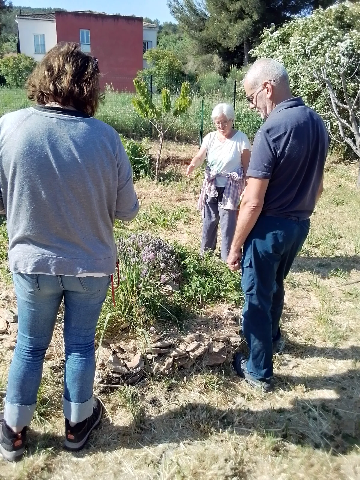 Au jardin ...