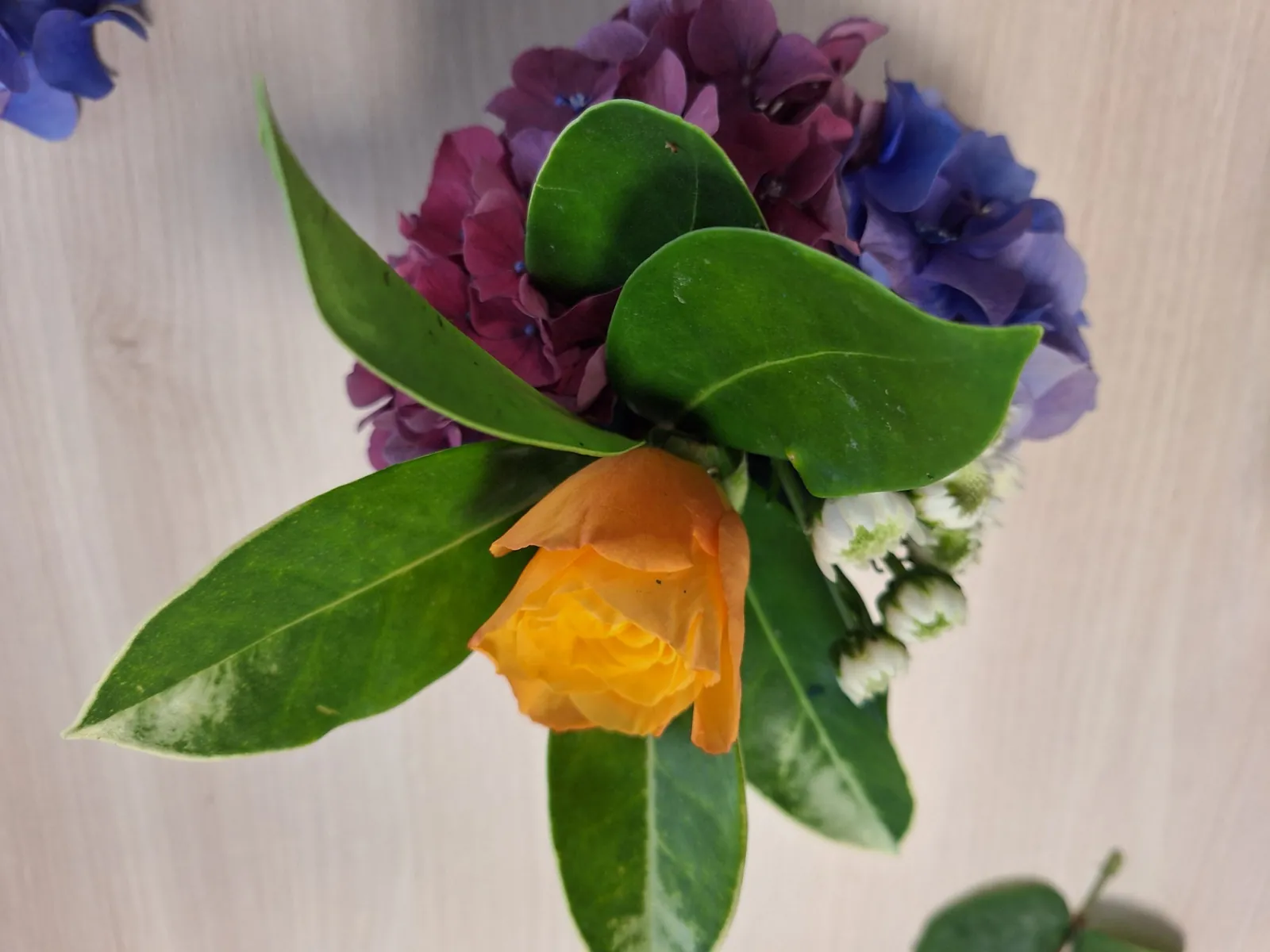 De jolies fleurs !