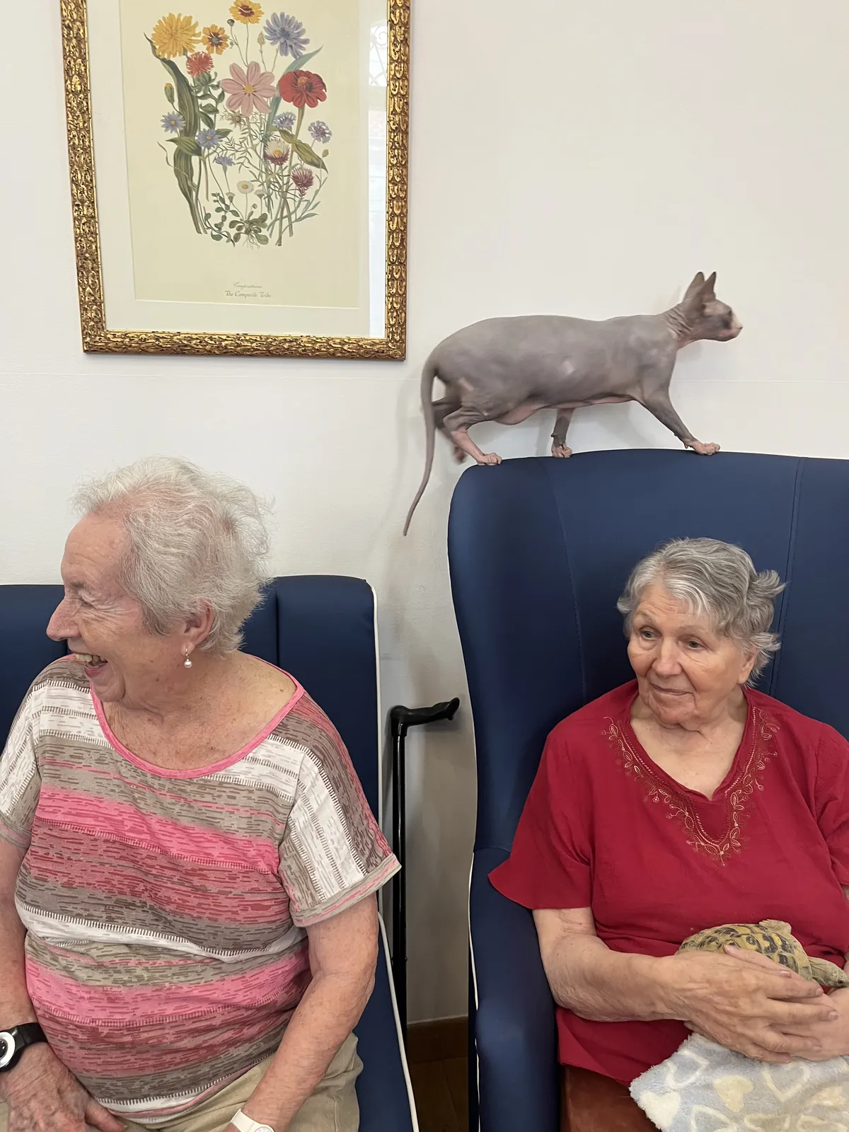 La zoothérapie s’invite à la résidence du Palais le lundi !