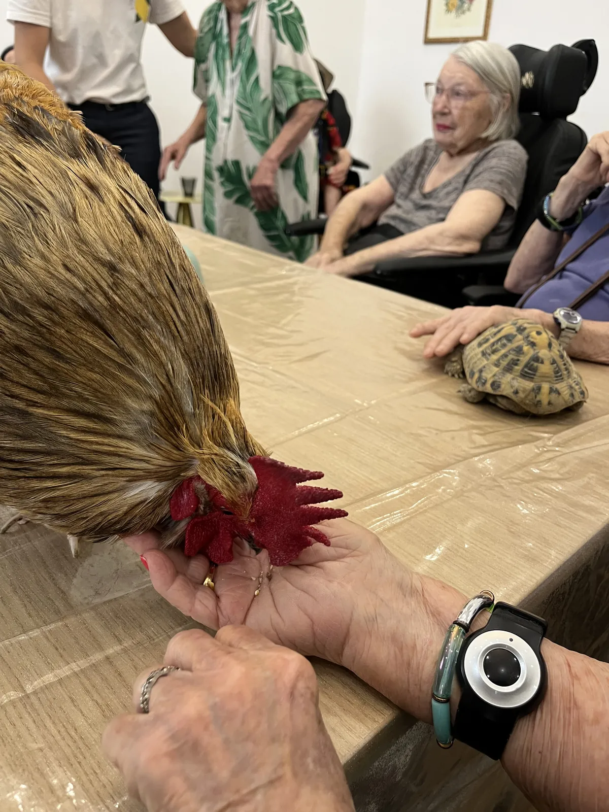La zoothérapie s’invite à la résidence du Palais le lundi !