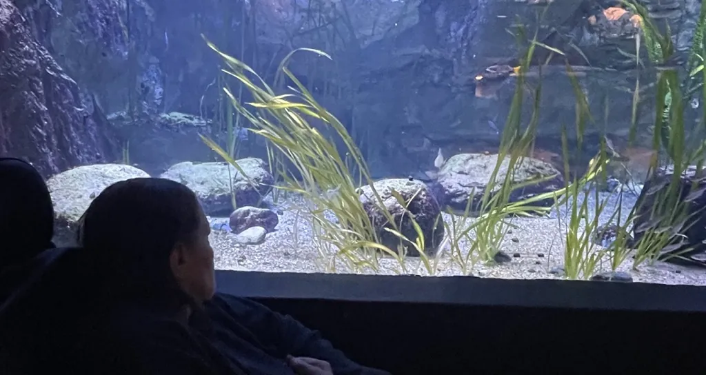 Poissons d'avril....