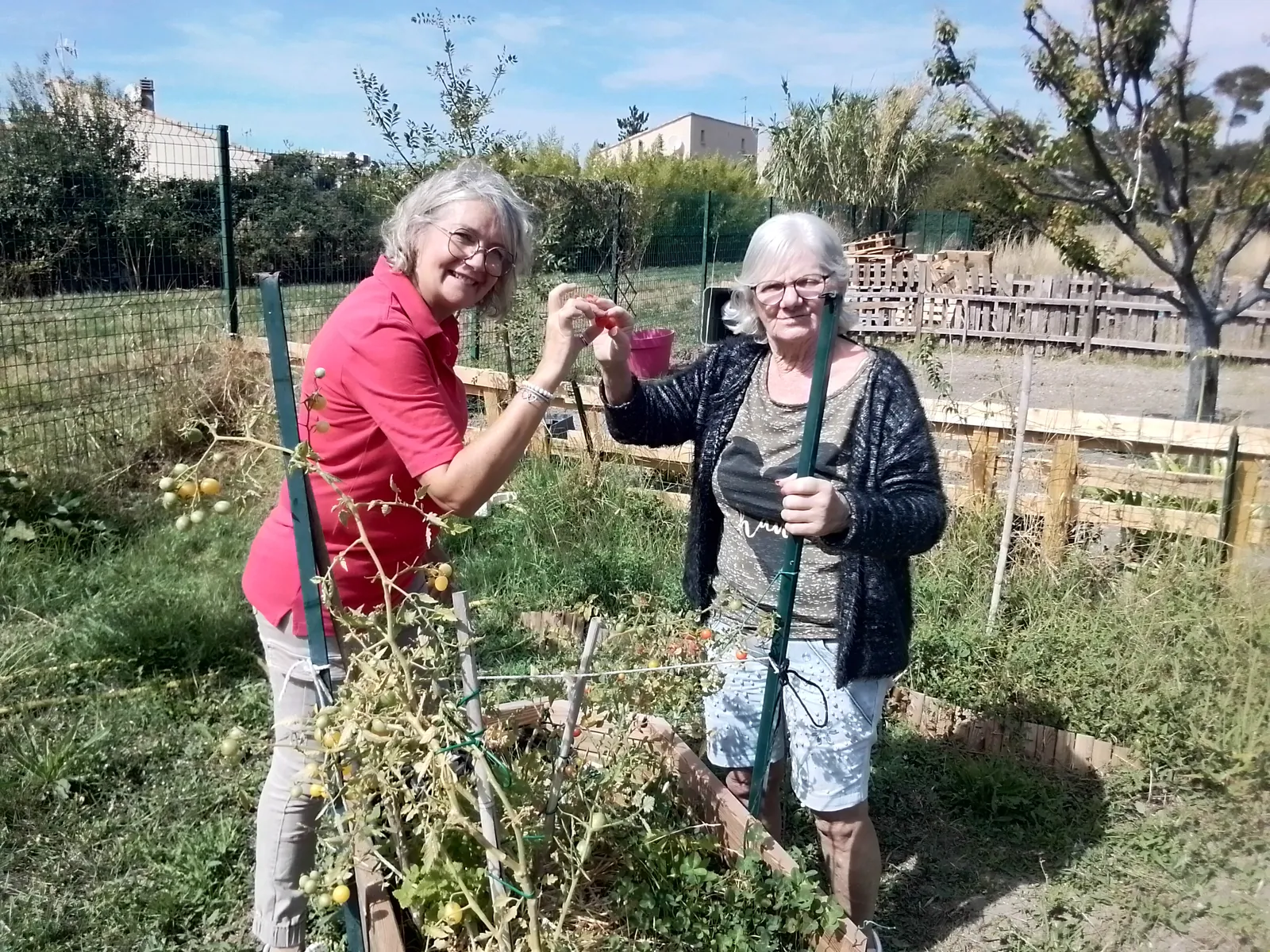 JARDINAGE : c'est reparti !