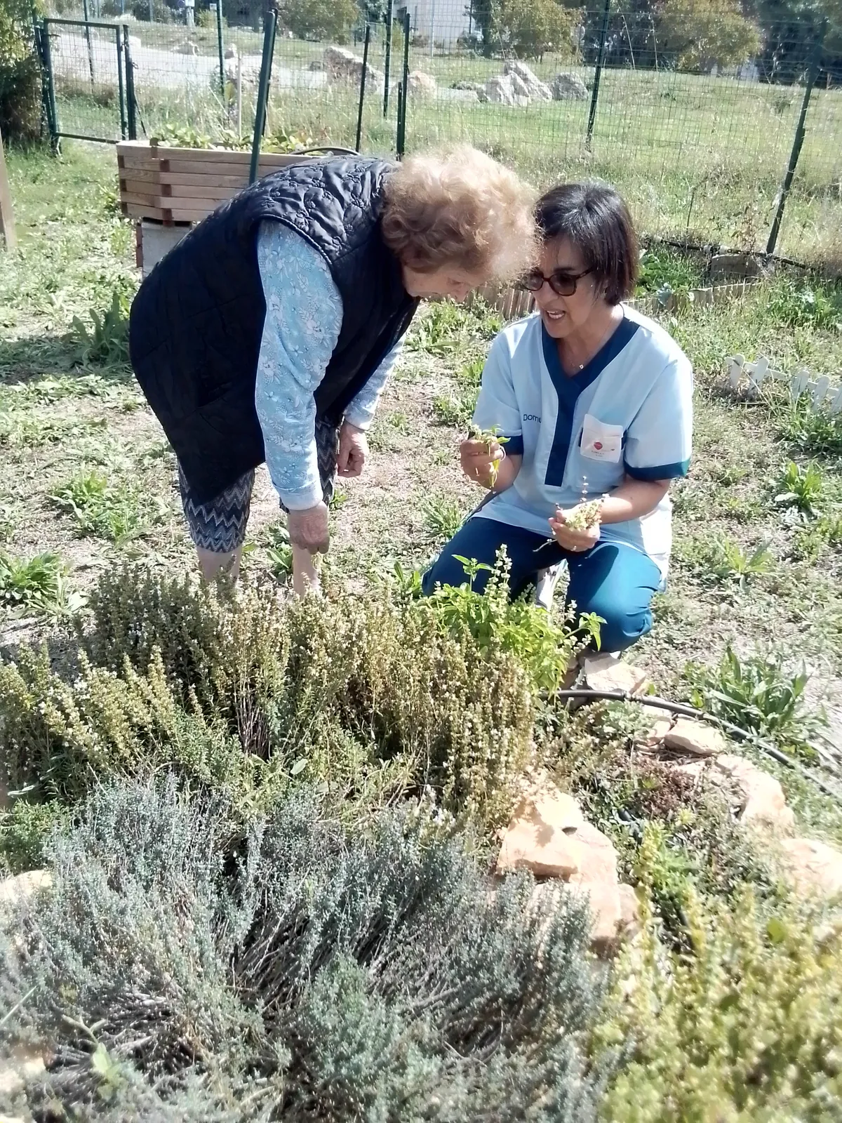 JARDINAGE : c'est reparti !