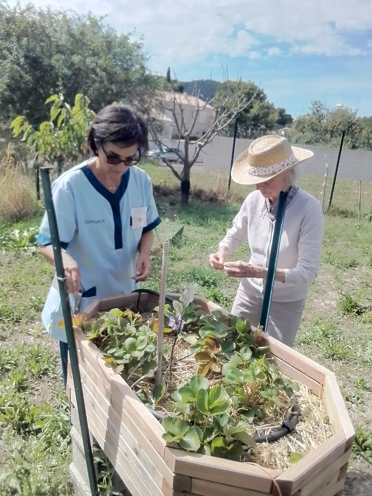JARDINAGE : c'est reparti !