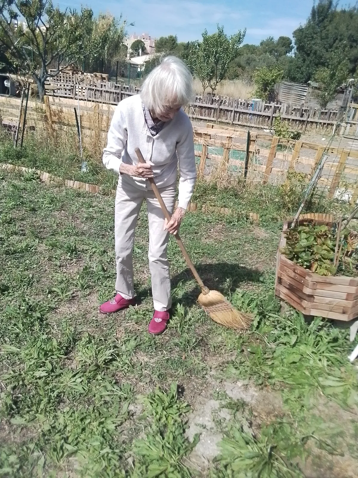 JARDINAGE : c'est reparti !