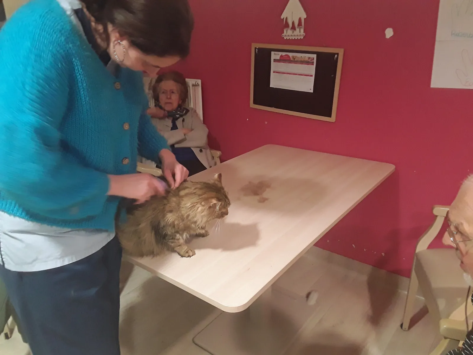 Les Résidents du Pavillon Bel Air ont adopté une chatte qui s'appelle Boulette