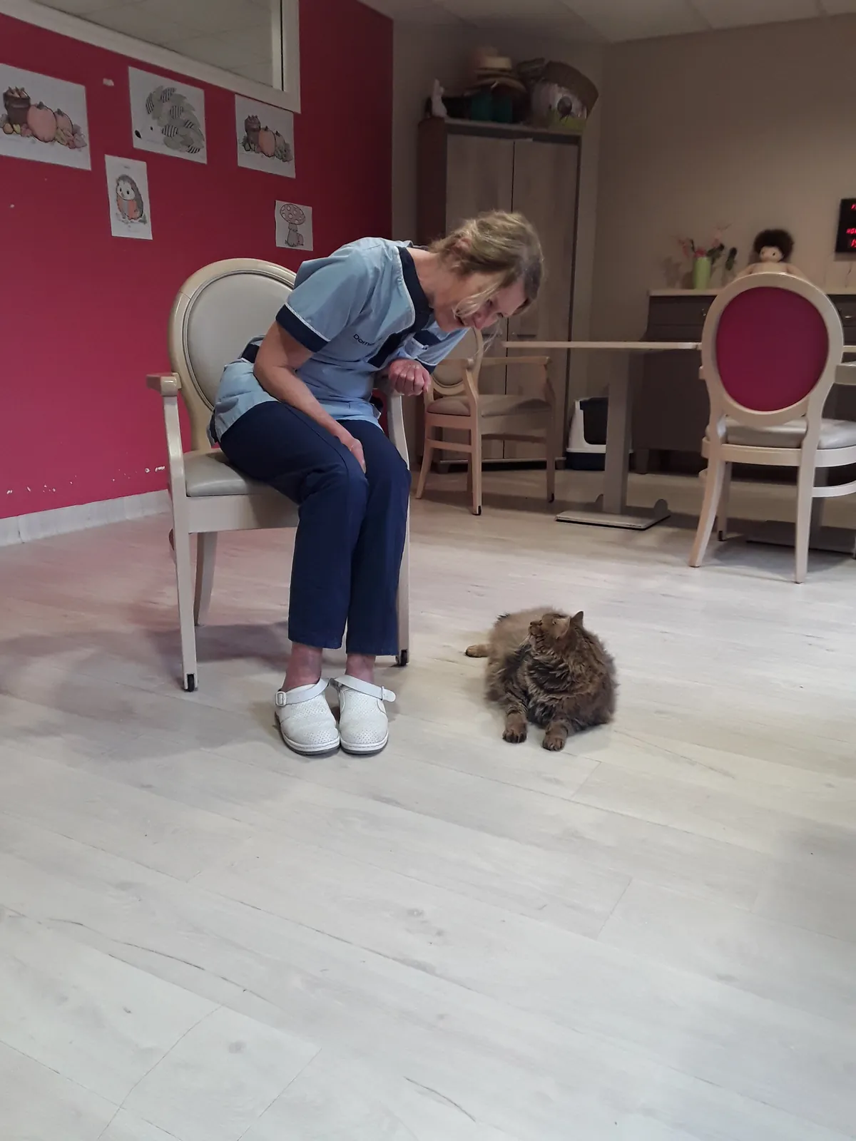 Les Résidents du Pavillon Bel Air ont adopté une chatte qui s'appelle Boulette