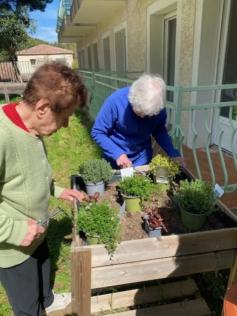 Jardinage 