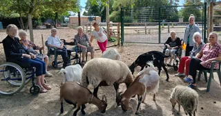 Une après-midi à la ferme pédagogique !