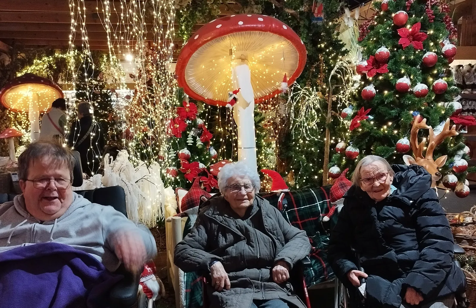 Sortie à la pépinière de Bavent : un après-midi plein de couleurs et de joie