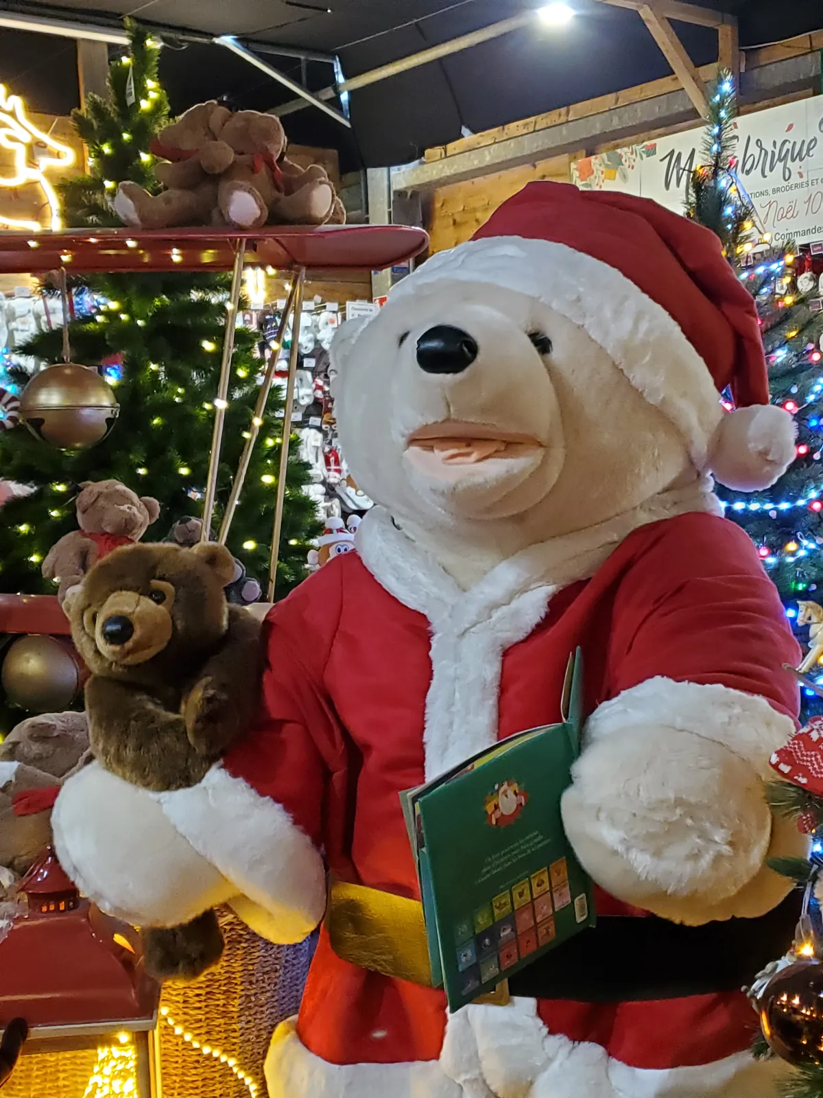 Sortie au Chalet de Noël de Louvigny : un moment magique pour nos résidents