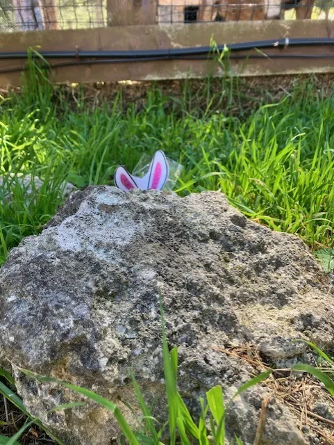 Chasse aux oeufs aux Jardins de Sormiou