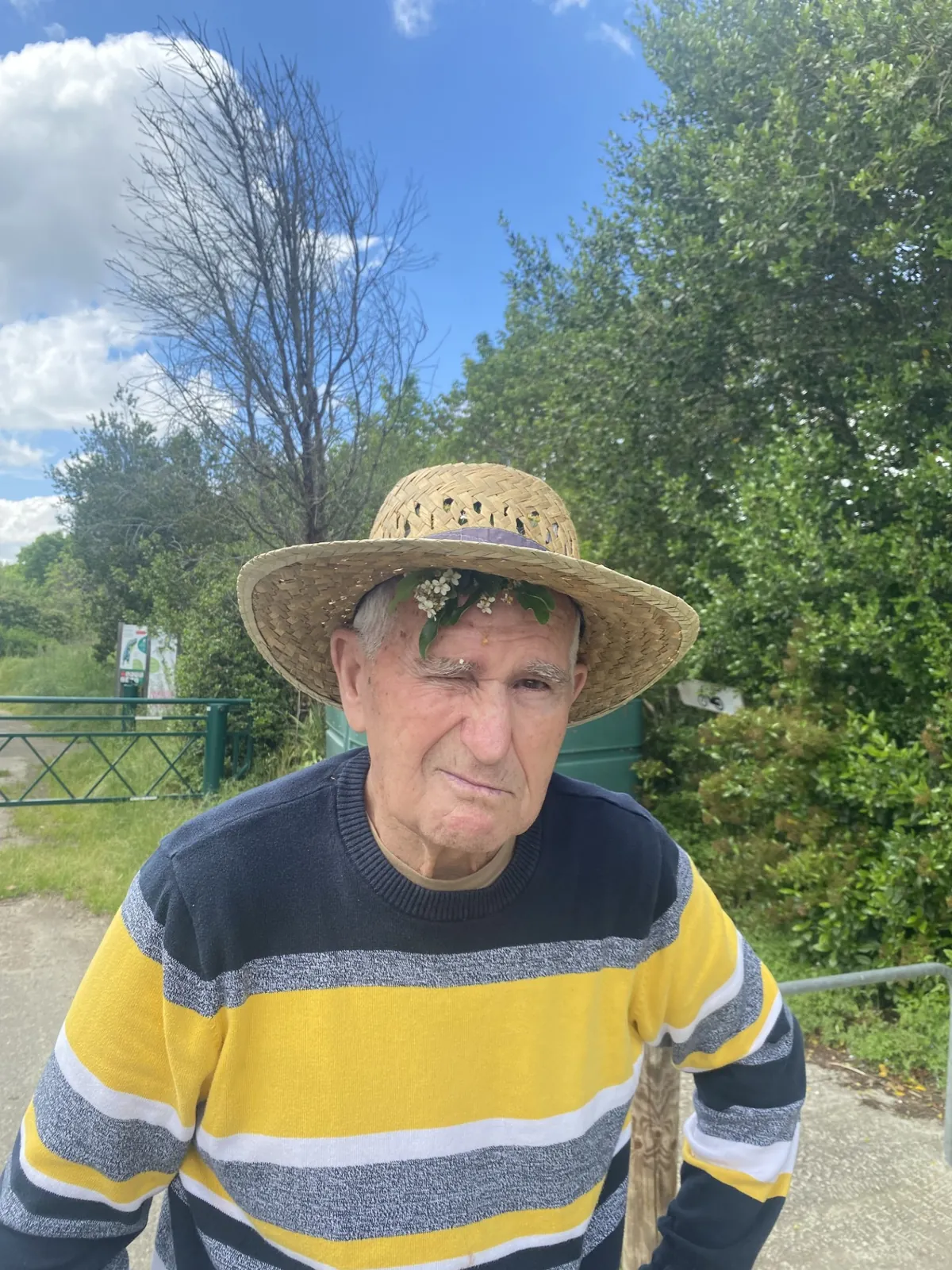 Balade en forêt 