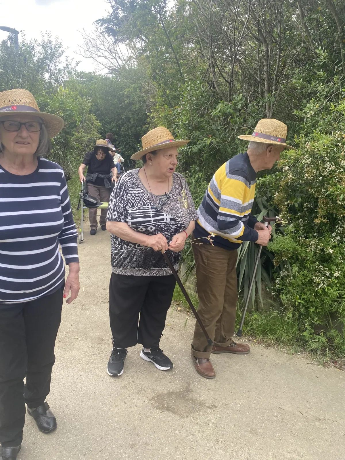Balade en forêt 