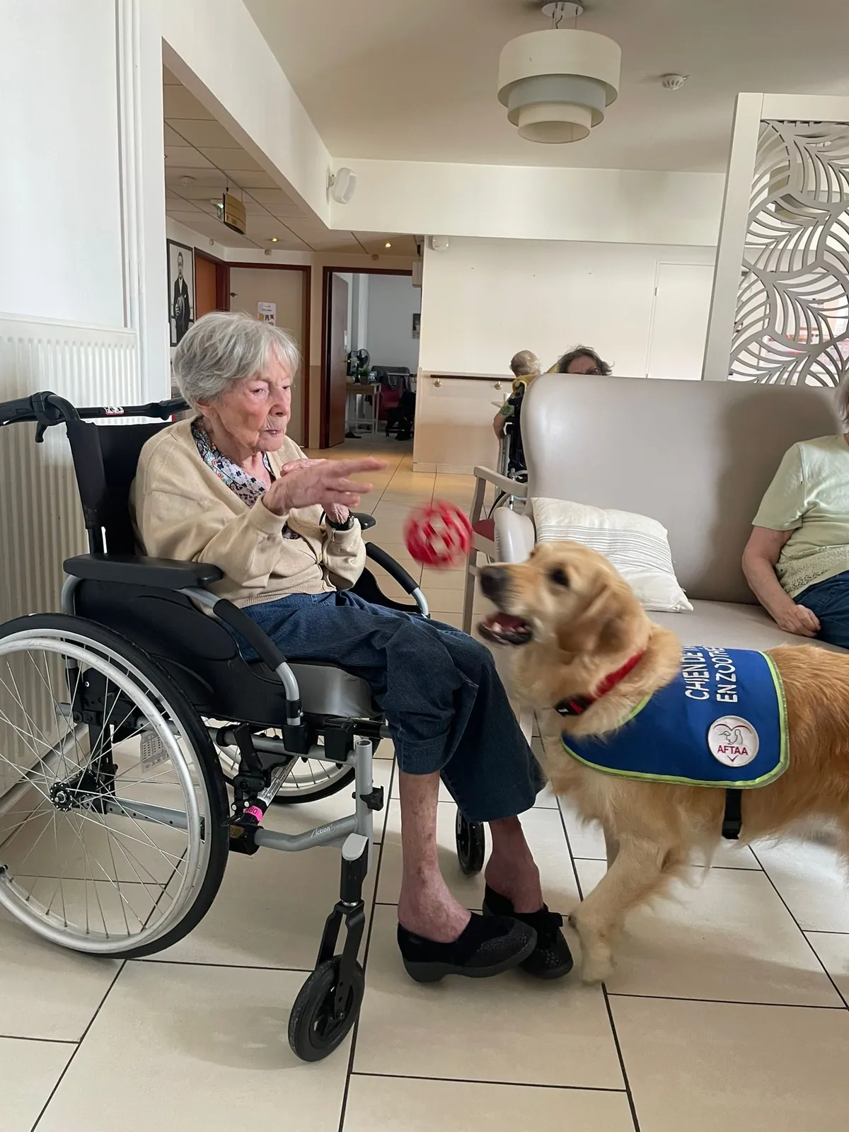 Un doux moment de tendresse avec Samba, le chien médiateur
