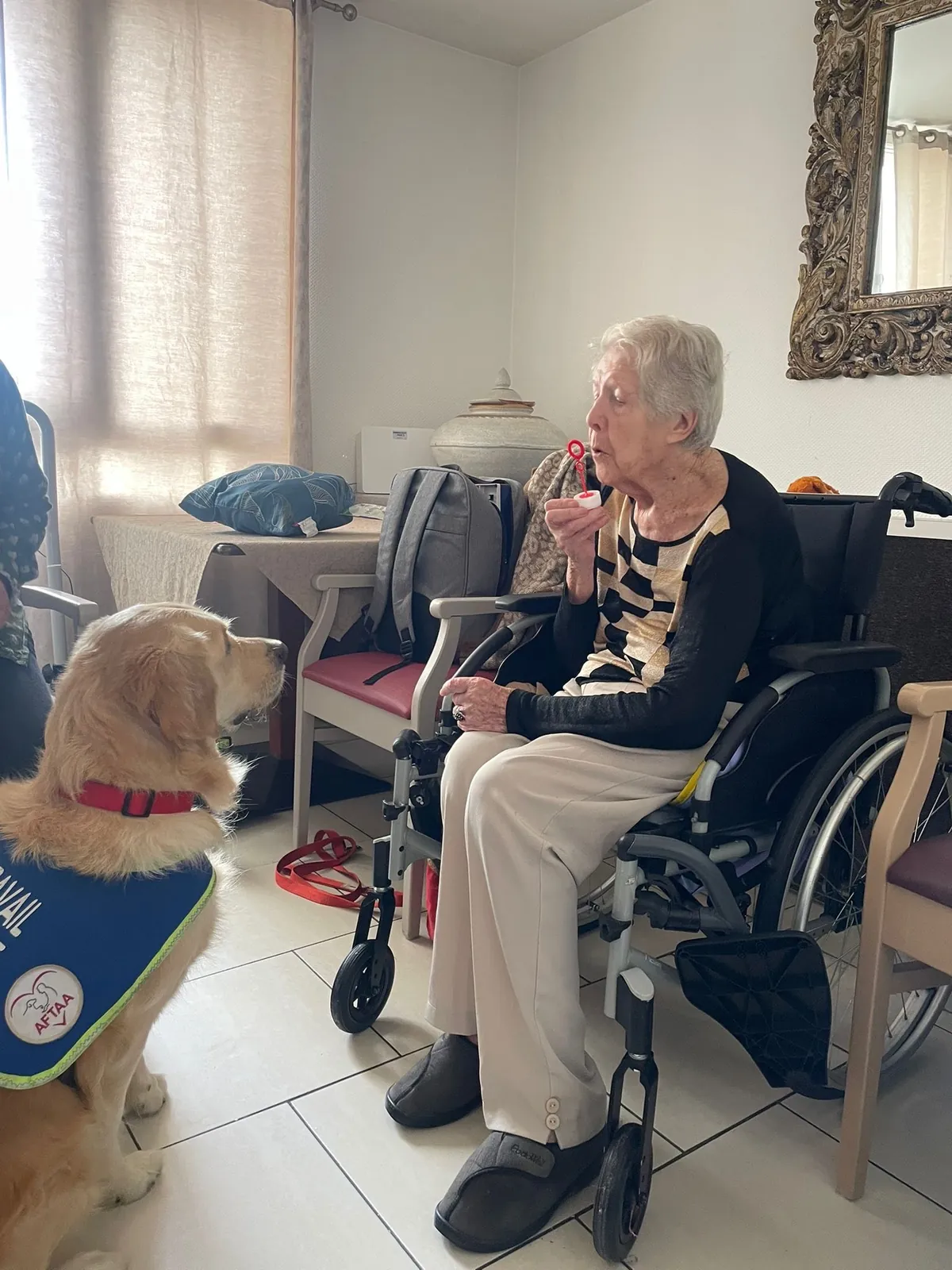 Un doux moment de tendresse avec Samba, le chien médiateur