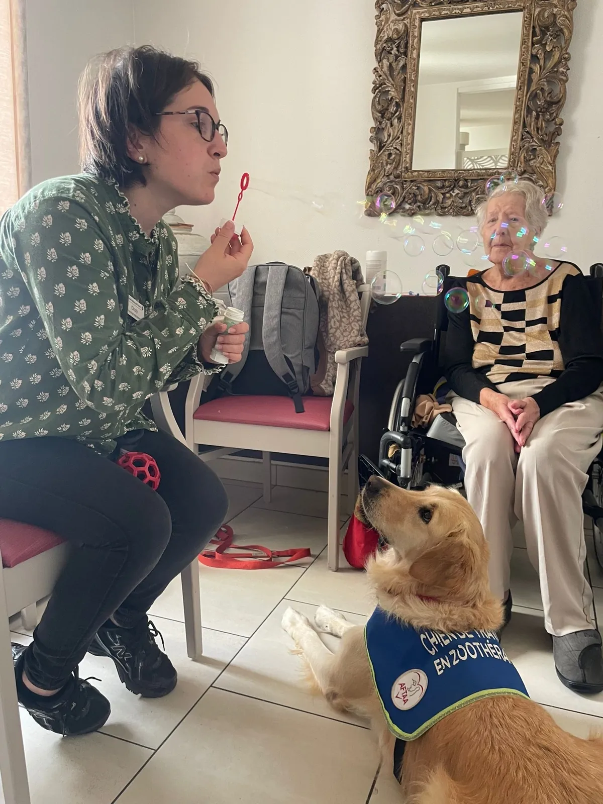 Un doux moment de tendresse avec Samba, le chien médiateur