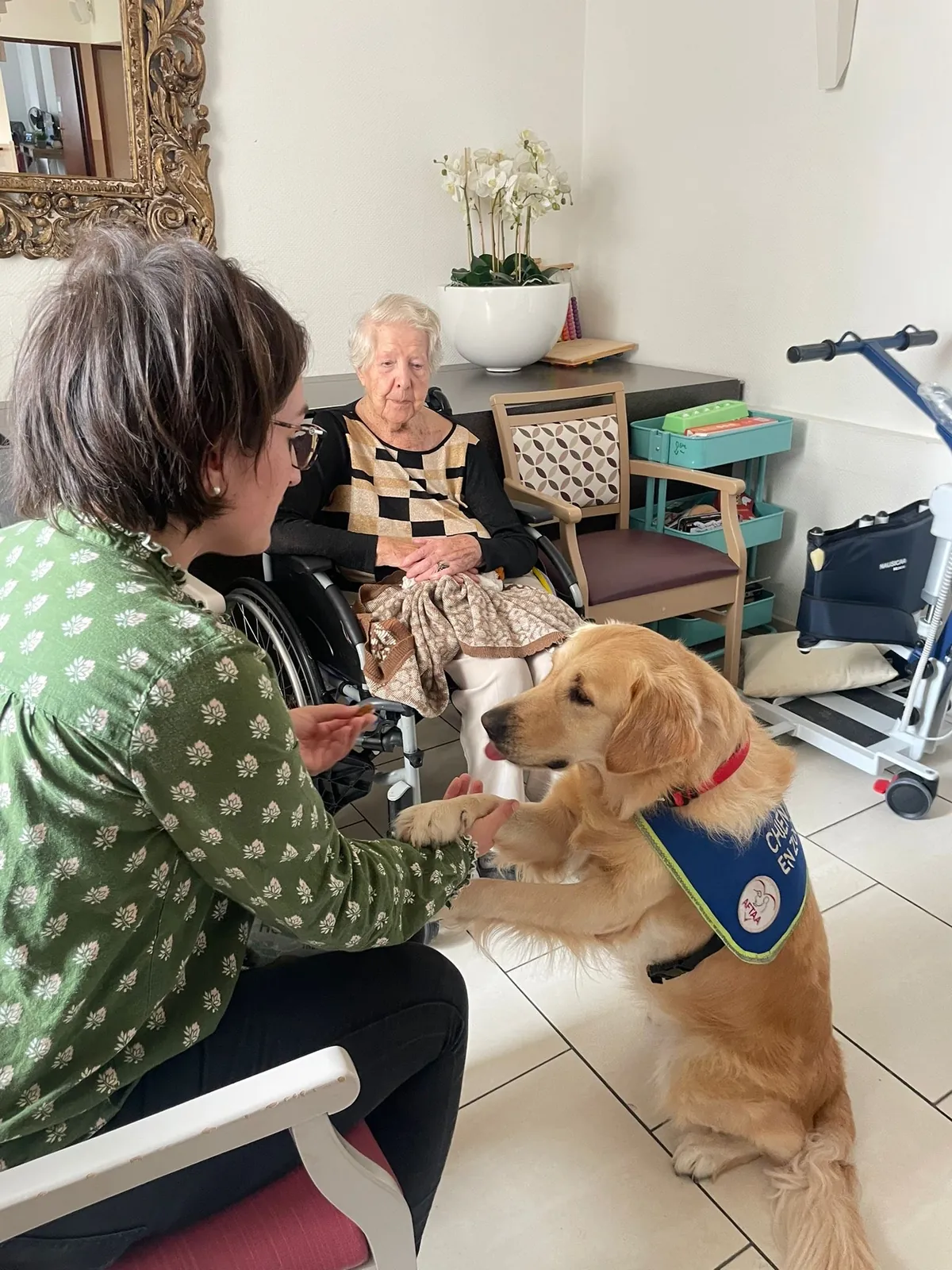 Un doux moment de tendresse avec Samba, le chien médiateur
