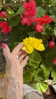 Les derniers moments de l’été