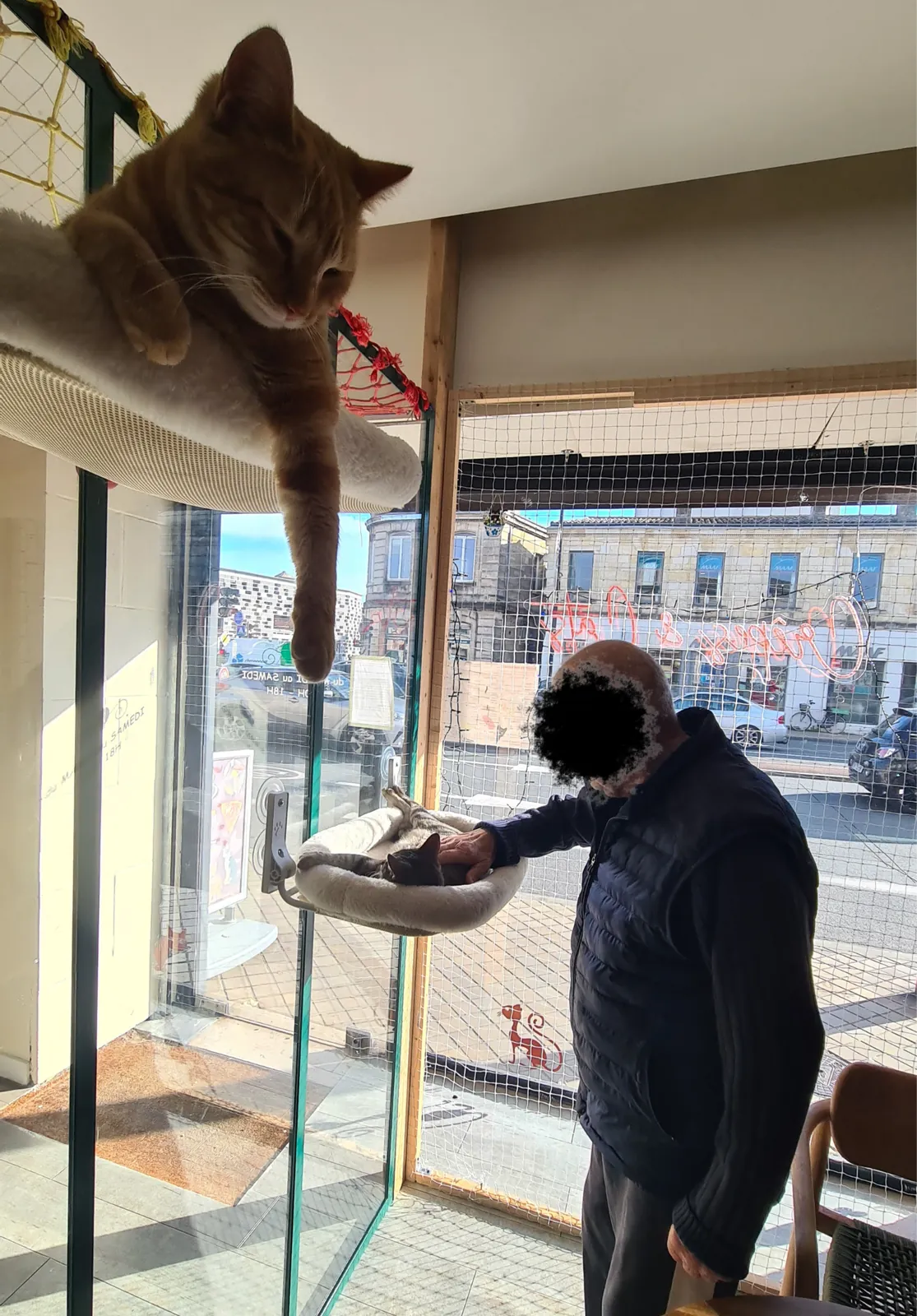 On va où ? Au Bouscat… Chat Roule !
