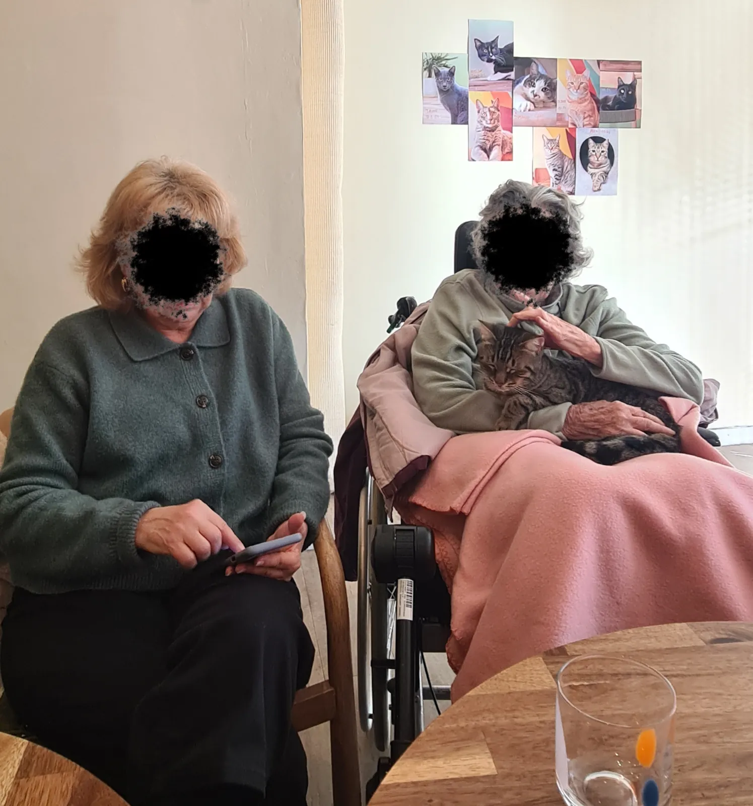 On va où ? Au Bouscat… Chat Roule !