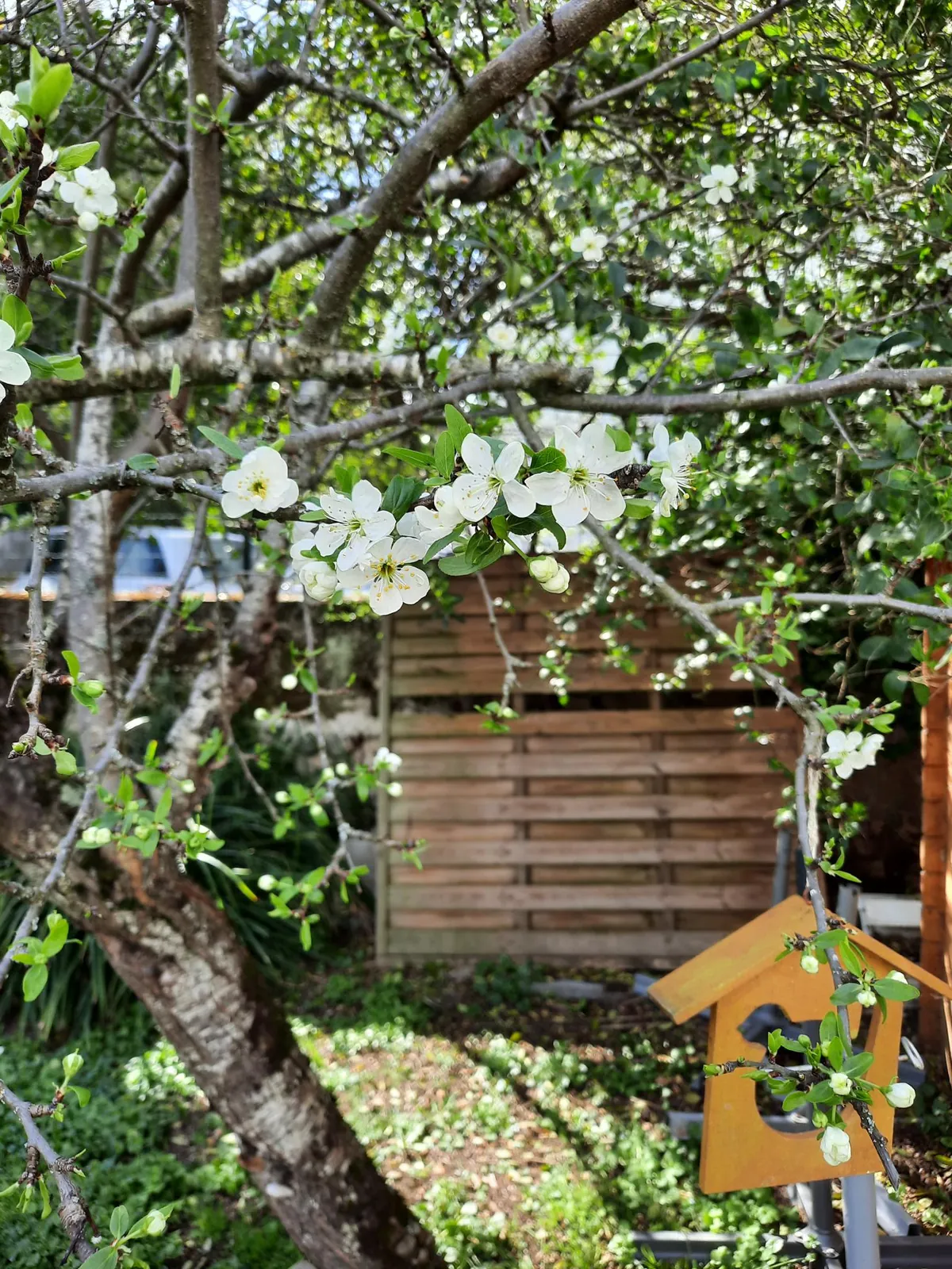 Vive le printemps !