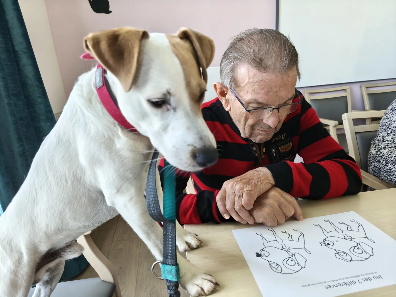 Médiation animale: Sherlock mène l'enquête...