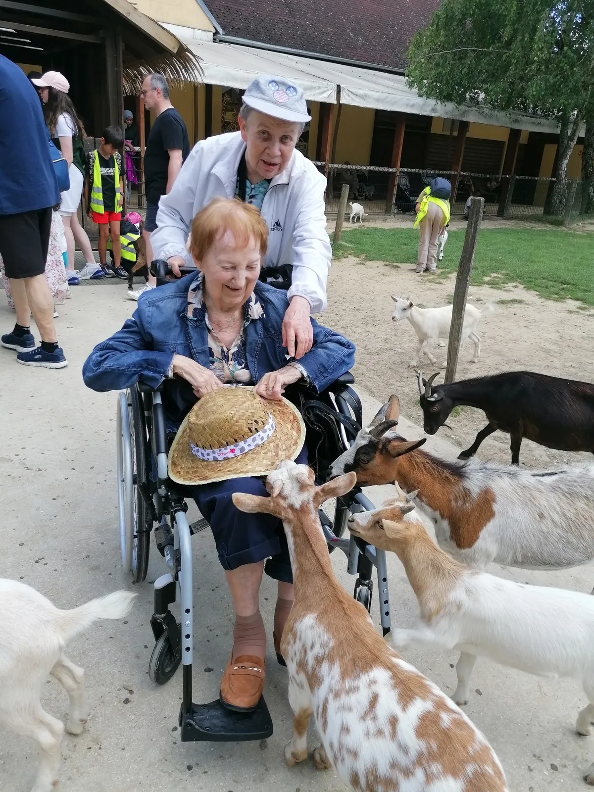 Les Tourterelles d'Esbly font leur Safari
