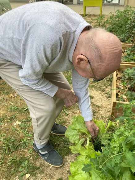 Le potager de l'Unité Protégée nous offre ses premiers trésors !