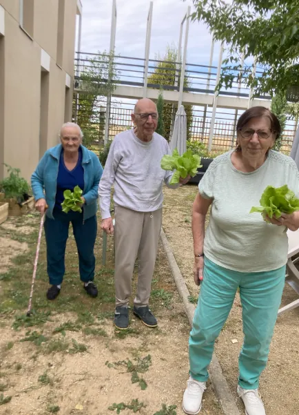 Le potager de l'Unité Protégée nous offre ses premiers trésors !