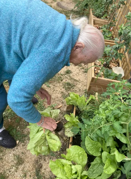 Le potager de l'Unité Protégée nous offre ses premiers trésors !